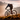 Mountain Bikes