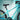 Voltic X Electric Bicycle Position 4