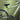 27.5T Zeeta Max Electric Bicycle Position 5