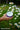 Chamois Butt'r Ultra Anti-Chafe Balm Position 5